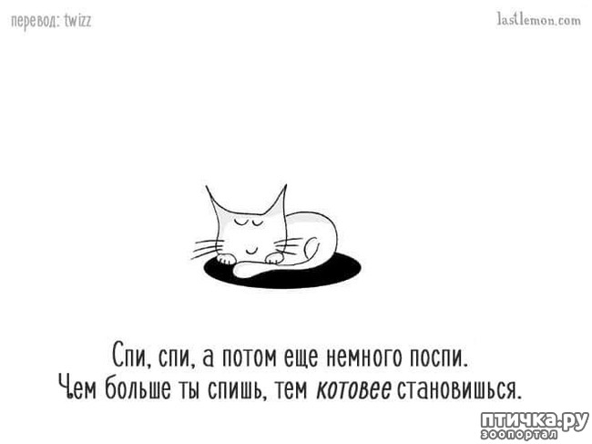 ���� 12: ��� ����� �����?