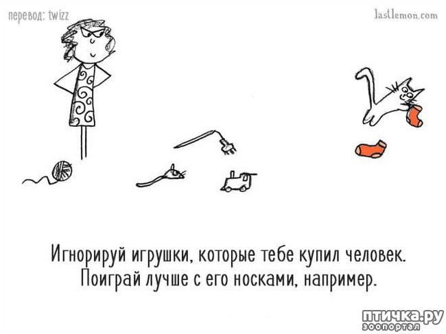 ���� 13: ��� ����� �����?