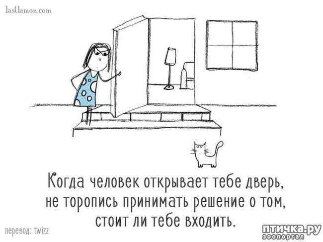 ���� 14: ��� ����� �����?