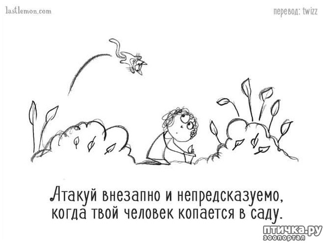 ���� 16: ��� ����� �����?