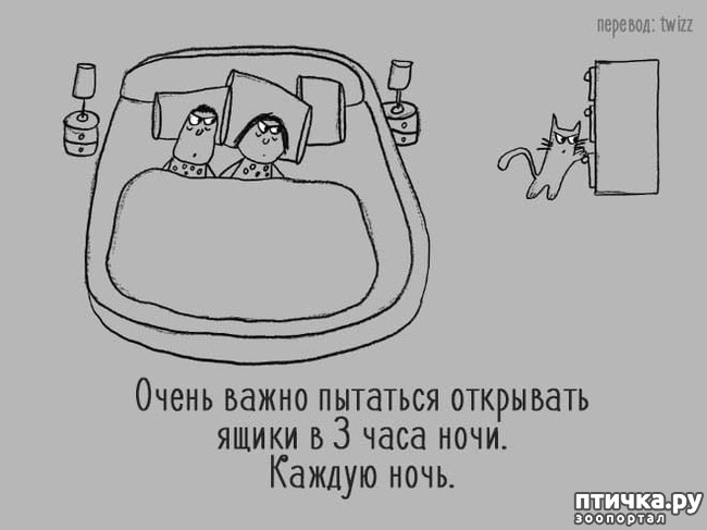 ���� 17: ��� ����� �����?