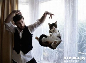 ����: 20 ������ ���������� ����� ���� ������ � �������