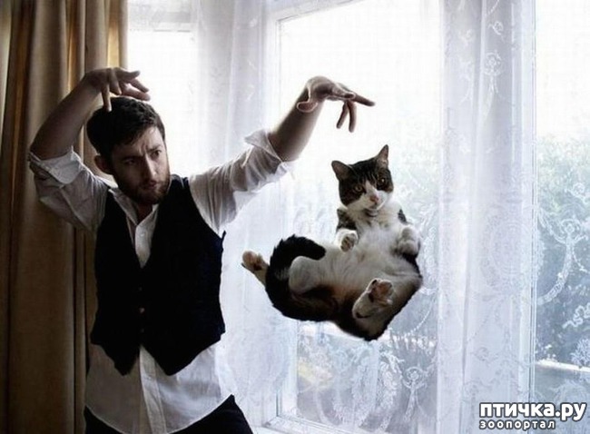 ���� 1: 20 ������ ���������� ����� ���� ������ � �������