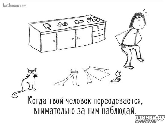 ���� 18: ��� ����� �����?