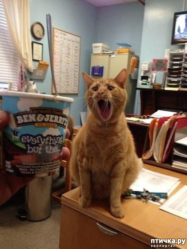 ���� 4: 20 ������ ���������� ����� ���� ������ � �������