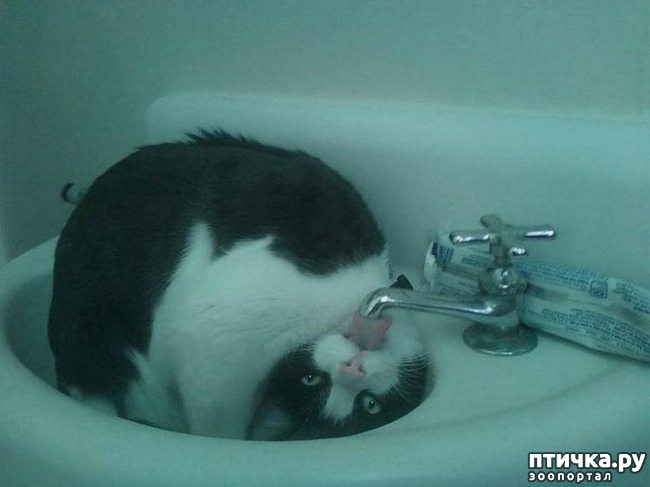 ���� 6: 20 ������ ���������� ����� ���� ������ � �������