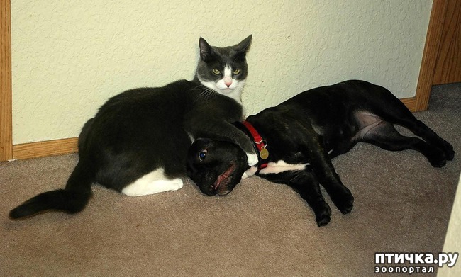 ���� 9: 20 ������ ���������� ����� ���� ������ � �������