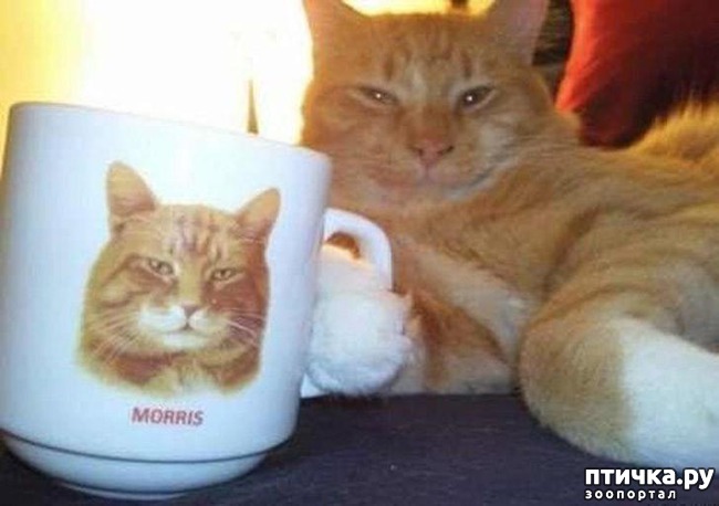 ���� 11: 20 ������ ���������� ����� ���� ������ � �������