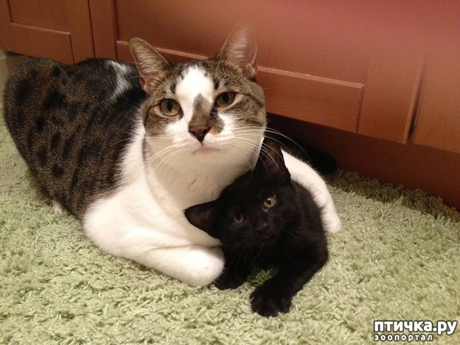 ���� 13: 20 ������ ���������� ����� ���� ������ � �������