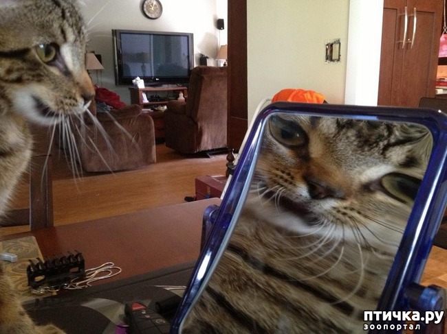 ���� 16: 20 ������ ���������� ����� ���� ������ � �������