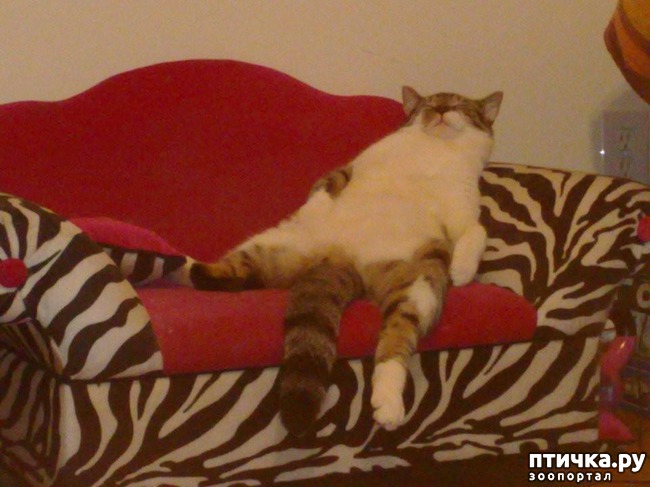 ���� 17: 20 ������ ���������� ����� ���� ������ � �������