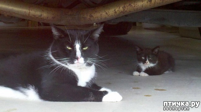 ���� 18: 20 ������ ���������� ����� ���� ������ � �������