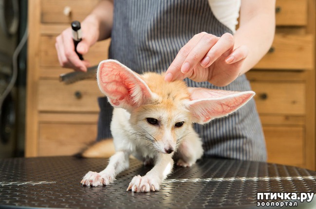 ���� 1: ��������� �������� �������� � ��������� �����