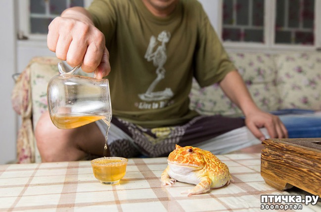 ���� 2: ��������� �������� �������� � ��������� �����