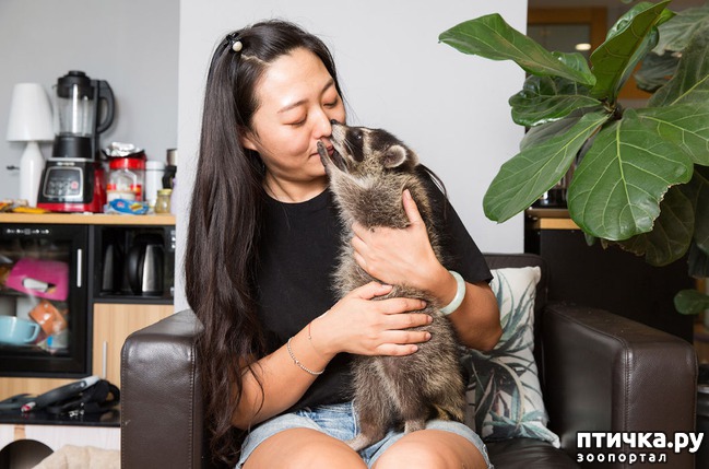 ���� 3: ��������� �������� �������� � ��������� �����