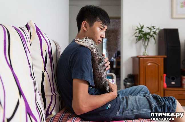 ���� 4: ��������� �������� �������� � ��������� �����