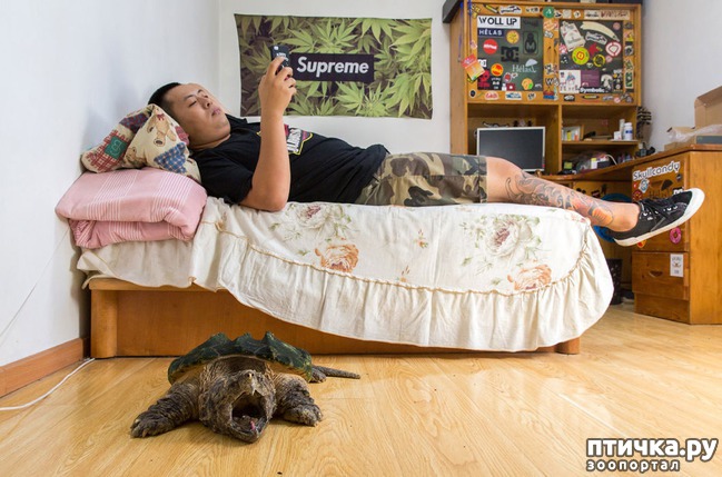 ���� 5: ��������� �������� �������� � ��������� �����