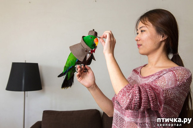 ���� 6: ��������� �������� �������� � ��������� �����