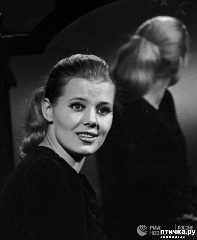 ���� 2: ������� 