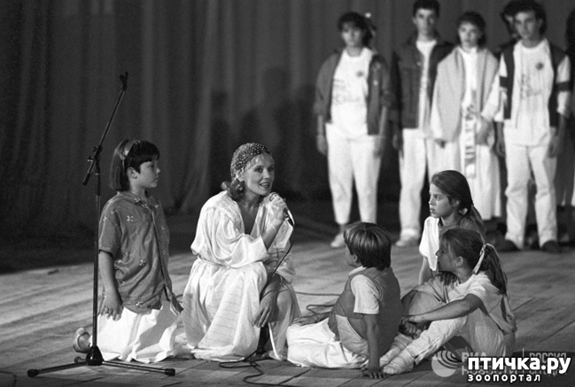 ���� 3: ������� 