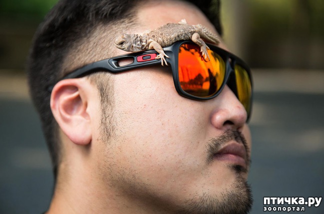 ���� 7: ��������� �������� �������� � ��������� �����