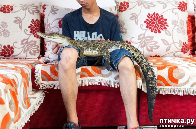 ���� 8: ��������� �������� �������� � ��������� �����