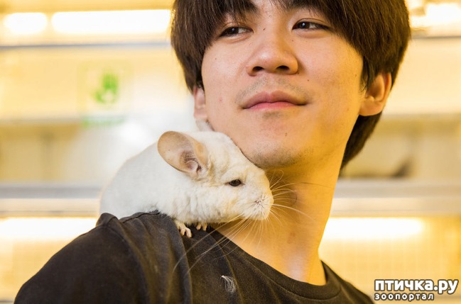 ���� 10: ��������� �������� �������� � ��������� �����