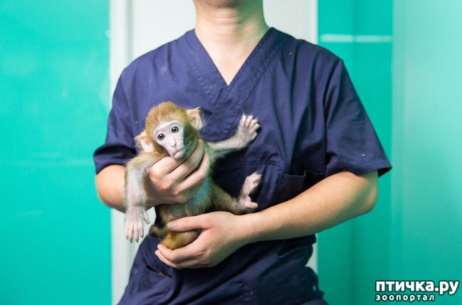 ���� 13: ��������� �������� �������� � ��������� �����