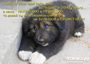 ����: �������������: ��� �������� �����!