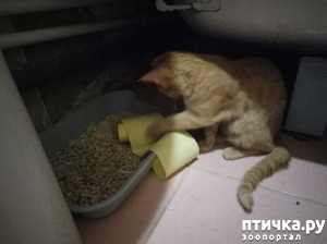 ����: ���� � ��������� ������