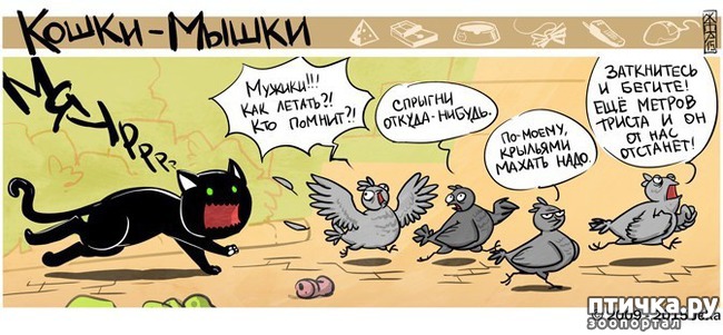 ���� 1: ��������� ������.