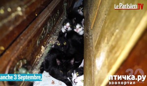 ����: � ������ �� ������� ��������� ������������ ������� ���������� 130 �����