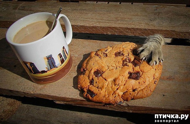 ���� 1: ������, ������� ������� ��������