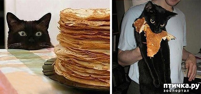 ���� 2: ������, ������� ������� ��������