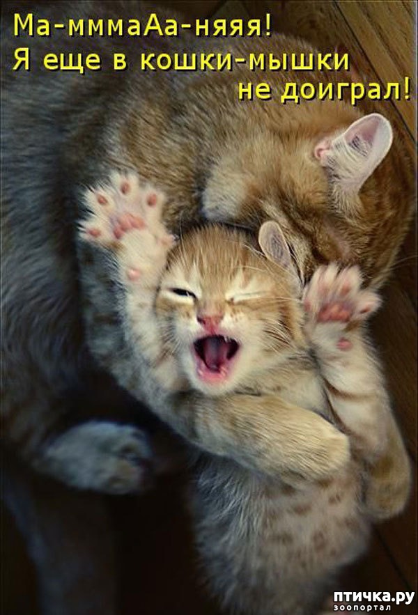 ���� 16: ��������� �����������: �����-�����!