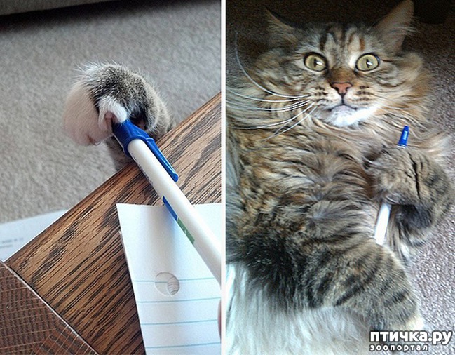 ���� 4: ������, ������� ������� ��������