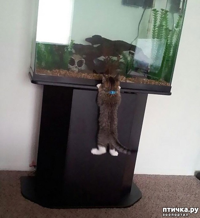 ���� 6: ������, ������� ������� ��������