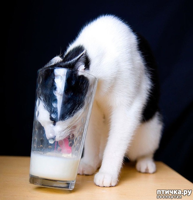 ���� 8: ������, ������� ������� ��������