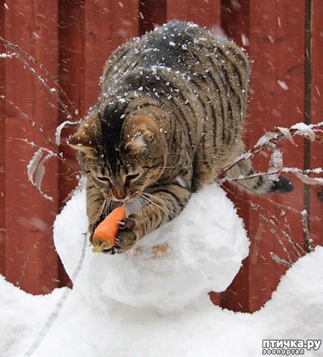 ���� 10: ������, ������� ������� ��������