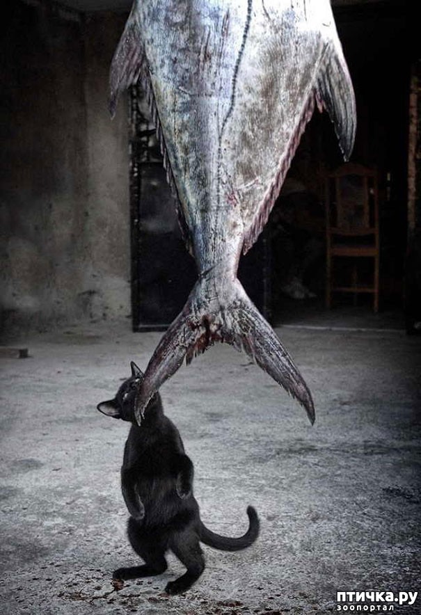 ���� 12: ������, ������� ������� ��������