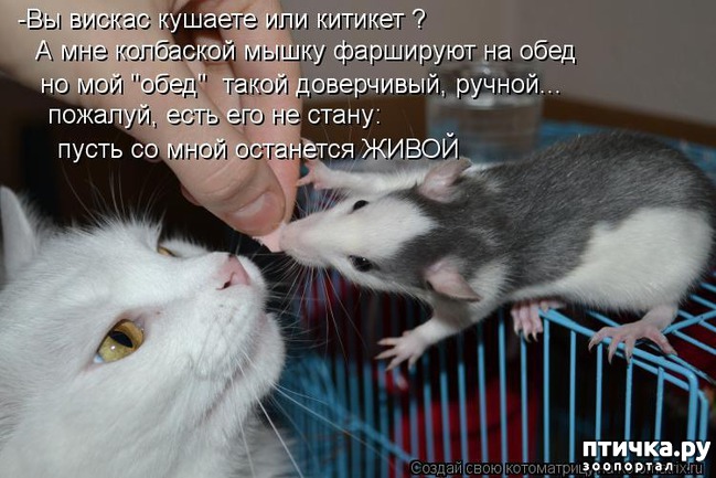 ���� 2: ��������� �����������: �����-�����-2!