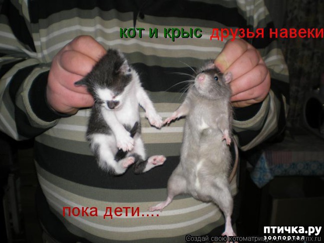 ���� 6: ��������� �����������: �����-�����-2!