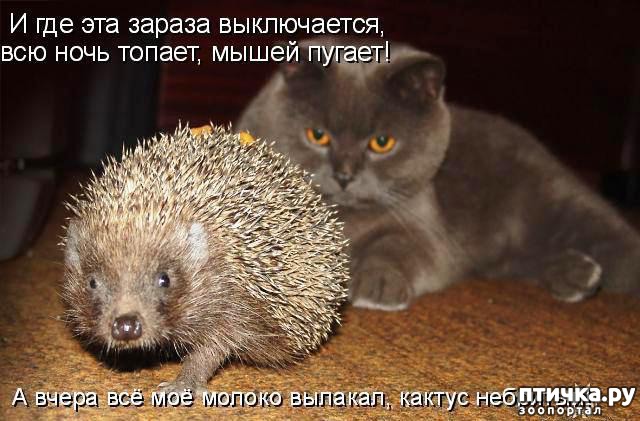 ���� 8: ��������� �����������: �����-�����-2!