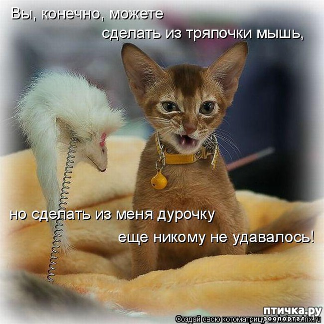 ���� 10: ��������� �����������: �����-�����-2!