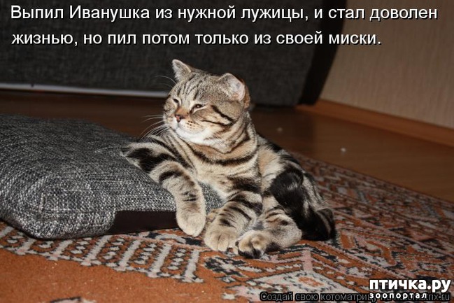 ���� 11: ��������� �����������: �����-�����-2!