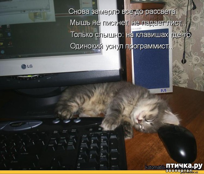 ���� 13: ��������� �����������: �����-�����-2!