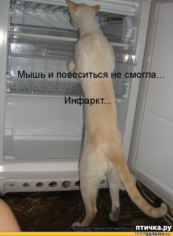 ���� 15: ��������� �����������: �����-�����-2!