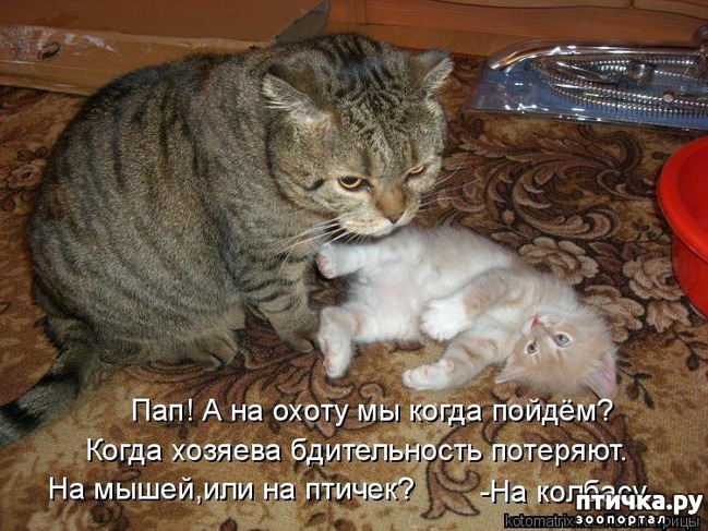 ���� 2: ��������� �����������: �����-�����-3!