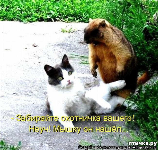 ���� 4: ��������� �����������: �����-�����-3!