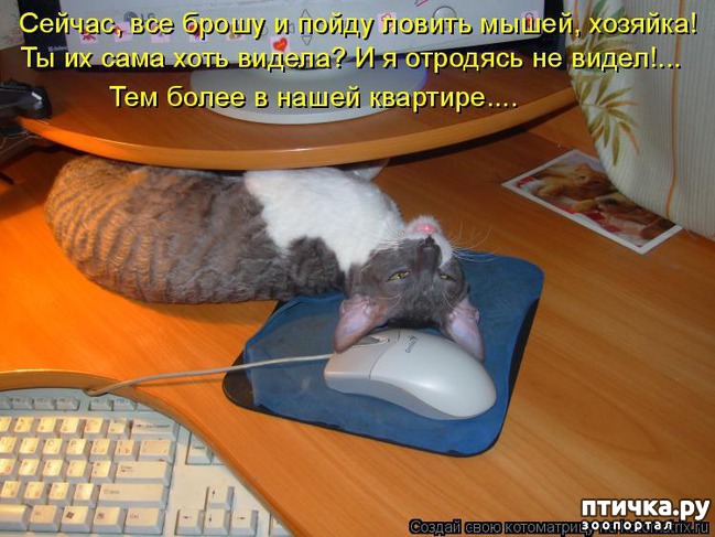 ���� 6: ��������� �����������: �����-�����-3!